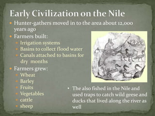  Hunter-gathers moved in to the area about 12,000
years ago
 Farmers built:
 Irrigation systems
 Basins to collect flood water
 Canals attached to basins for
dry months
 Farmers grew:
 Wheat
 Barley
 Fruits
 Vegetables
 cattle
 sheep
• The also fished in the Nile and
used traps to catch wild geese and
ducks that lived along the river as
well
 