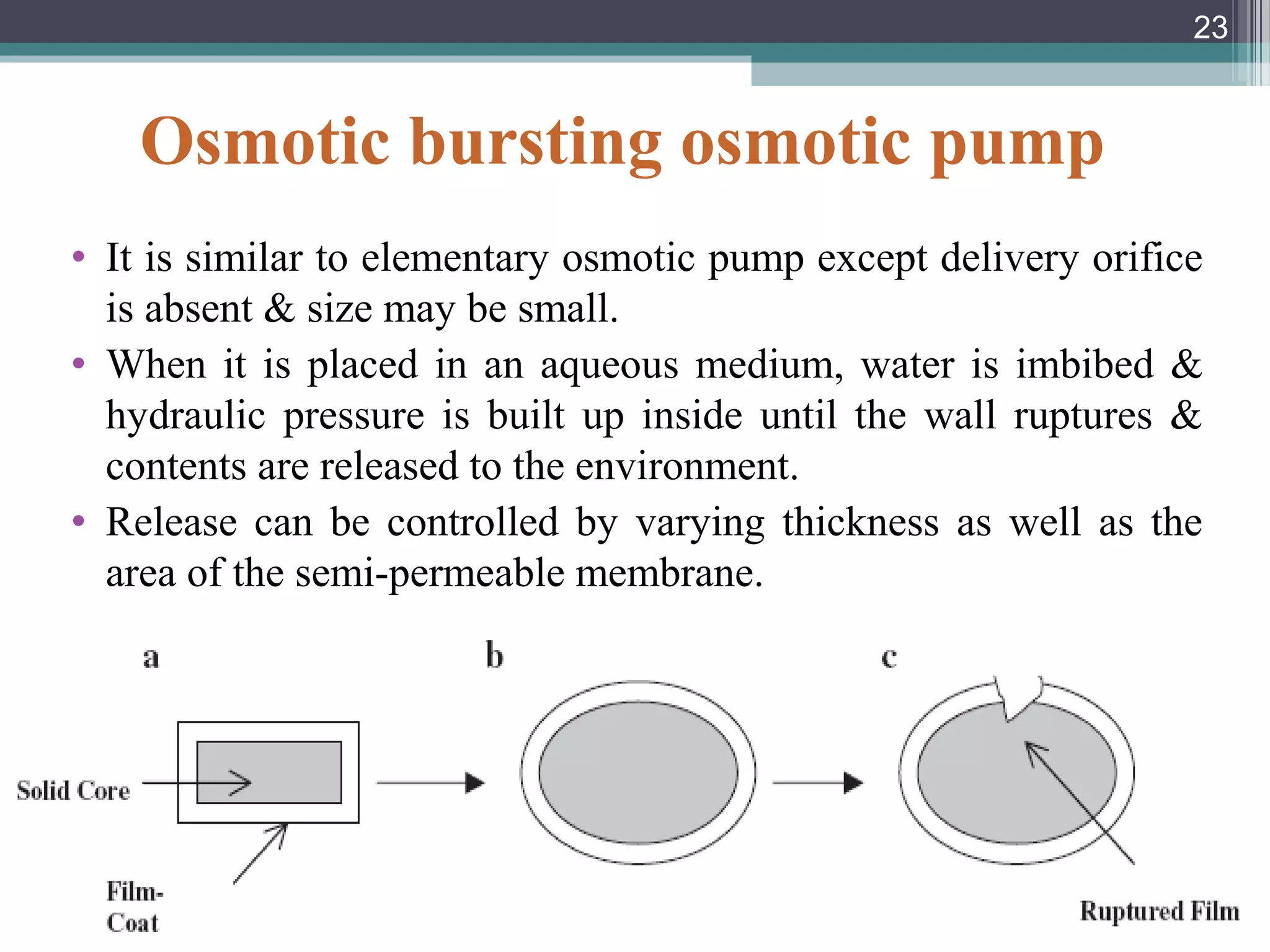 Osmotic bursting osmotic pump
• It is similar to elementary osmotic pump except delivery orifice
is absent & size may be small.
• When it is placed in an aqueous medium, water is imbibed &
hydraulic pressure is built up inside until the wall ruptures &
contents are released to the environment.
• Release can be controlled by varying thickness as well as the
area of the semi-permeable membrane.
• This system is useful to provide pulsated release.
23
 