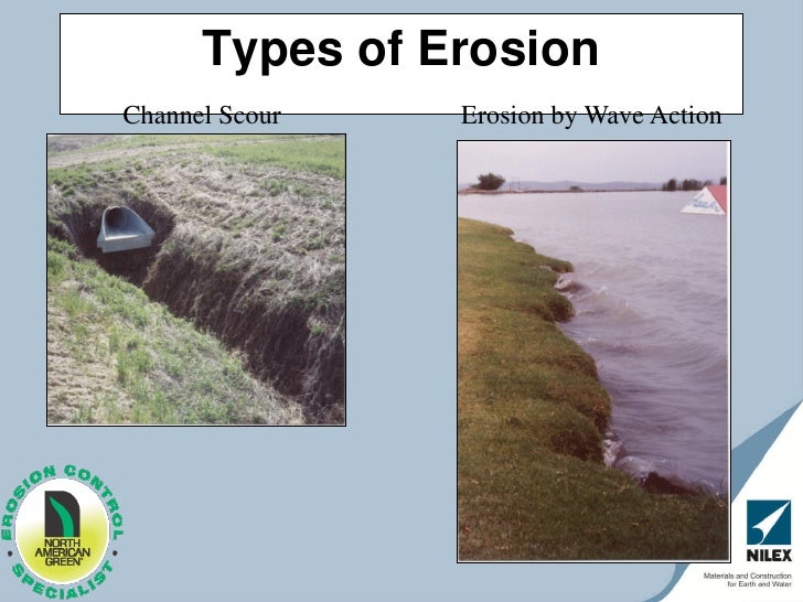 Nilex ec seminars 1 1805