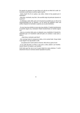 30
De repente vio aparecer un gran búho en lo alto de un árbol de la calle. Un
mochuelo oculto bajo un canal se agitó al gritar:
—¡Kivitt, Kivitt! Por fin te vuelvo a ver, búho. ¿Cómo lo has pasado por el
extranjero?
—Muy bien, mochuelo, muy bien. ¿Ha sucedido algo de particular durante mi
ausencia?
—En Blekinge, nada, búho; pero en la Escania ha sucedido que un niño se ha
metamorfoseado por un duende y se ha hecho tan pequeño como una
ardilla. Después ha marchado a Laponia con un pato doméstico.
—Es una cosa muy extraña, es una cosa muy extraña. ¿Y podrá transformarse
en hombre alguna vez, mochuelo? ¿Podrá transformarse en hombre alguna
vez?
—Esto es un secreto, búho; pero, no obstante, voy a revelártelo. El duende ha
declarado que si el muchacho cuida del pato y lo conduce a casa sano y
salvo y...
—¿Qué dices, mochuelo, qué dices?
—Ven conmigo hasta el campanario, búho, y te lo contaré todo. Tengo miedo
a que alguien nos oiga desde la calle.
Los pájaros de la noche volaron entonces. Nils echó su gorra al aire:
—Si yo cuido del pato y lo llevo a casa sano y salvo, volveré a ser hombre.
¡Hurra! ¡Hurra! ¡Yo volveré a ser hombre!
Gritó tanto que fue raro no se le oyera desde las casas próximas. Y corrió
velozmente hacia la marisma donde reposaban los patos.
 