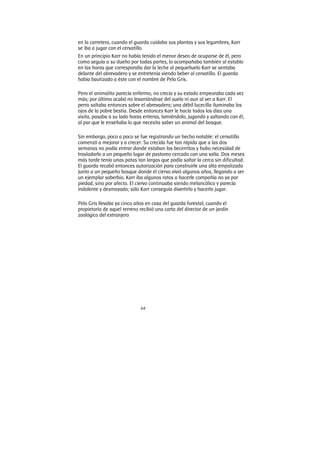 64
en la carretera, cuando el guarda cuidaba sus plantas y sus legumbres, Karr
se iba a jugar con el cervatillo.
En un principio Karr no había tenido el menor deseo de ocuparse de él, pero
como seguía a su dueño por todas partes, lo acompañaba también al establo
en las horas que correspondía dar la leche al pequeñuelo Karr se sentaba
delante del abrevadero y se entretenía viendo beber al cervatillo. El guarda
había bautizado a éste con el nombre de Pelo Gris.
Pero el animalito parecía enfermo, no crecía y su estado empeoraba cada vez
más; por último acabó no levantándose del suelo ni aun al ver a Karr. El
perro saltaba entonces sobre el abrevadero; una débil lucecilla iluminaba los
ojos de la pobre bestia. Desde entonces Karr le hacía todos los días una
visita, pasaba a su lado horas enteras, lamiéndolo, jugando y saltando con él,
al par que le enseñaba lo que necesita saber un animal del bosque.
Sin embargo, poco a poco se fue registrando un hecho notable: el cervatillo
comenzó a mejorar y a crecer. Su crecida fue tan rápida que a las dos
semanas no podía entrar donde estaban los becerritos y hubo necesidad de
trasladarlo a un pequeño lugar de pastoreo cercado con una valía. Dos meses
más tarde tenía unas patas tan largas que podía saltar la cerca sin dificultad.
El guarda recabó entonces autorización para construirle una alta empalizada
junto a un pequeño bosque donde el ciervo vivió algunos años, llegando a ser
un ejemplar soberbio. Karr iba algunos ratos a hacerle compañía no ya por
piedad, sino por afecto. El ciervo continuaba siendo melancólico y parecía
indolente y desmayado; sólo Karr conseguía divertirlo y hacerlo jugar.
Pelo Gris llevaba ya cinco años en casa del guarda forestal, cuando el
propietario de aquel terreno recibió una carta del director de un jardín
zoológico del extranjero
 