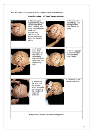 Manikins examination for Medical students | PDF