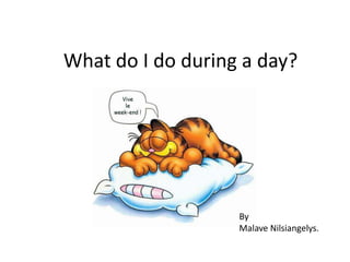 What do I do during a day? By Malave Nilsiangelys. 