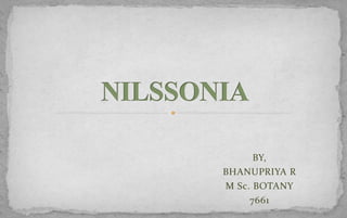 BY,
BHANUPRIYA R
M Sc. BOTANY
7661