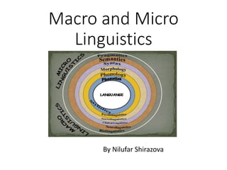 Macro and Micro
Linguistics
By Nilufar Shirazova
 