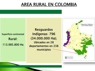 AREA RURAL EN COLOMBIA
Superficie continental
Rural:
113.985.800 Ha
Resguardos
Indígenas: 796
(34.000.000 Ha);
Ubicados en...