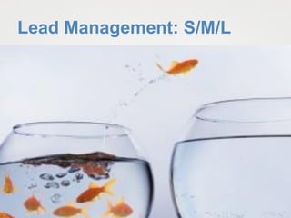 Lead Management: S/M/L
 