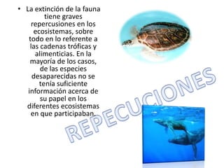 La extinción de la fauna tiene graves repercusiones en los ecosistemas, sobre todo en lo referente a las cadenas tróficas y alimenticias. En la mayoría de los casos, de las especies desaparecidas no se tenía suficiente información acerca de su papel en los diferentes ecosistemas en que participaban. REPECUCIONES