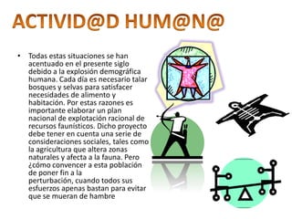 ACTIVID@D HUM@N@Todas estas situaciones se han acentuado en el presente siglo debido a la explosión demográfica humana. Cada día es necesario talar bosques y selvas para satisfacer necesidades de alimento y habitación. Por estas razones es importante elaborar un plan nacional de explotación racional de recursos faunísticos. Dicho proyecto debe tener en cuenta una serie de consideraciones sociales, tales como la agricultura que altera zonas naturales y afecta a la fauna. Pero ¿cómo convencer a esta población de poner fin a la perturbación, cuando todos sus esfuerzos apenas bastan para evitar que se mueran de hambre