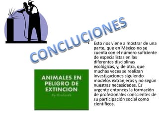 CONCLUCIONESCONCLUCIONESEsto nos viene a mostrar de una parte, que en México no se cuenta con el número suficiente de especialistas en las diferentes disciplinas ecológicas, y, de otra, que muchas veces se realizan investigaciones siguiendo modelos extranjeros y no según nuestras necesidades. Es urgente entonces la formación de profesionales conscientes de su participación social como científicos. Esto nos viene a mostrar de una parte, que en México no se cuenta con el número suficiente de especialistas en las diferentes disciplinas ecológicas, y, de otra, que muchas veces se realizan investigaciones siguiendo modelos extranjeros y no según nuestras necesidades. Es urgente entonces la formación de profesionales conscientes de su participación social como científicos. 