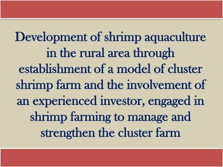 Development of shrimp aquaculture
      in the rural area through
 establishment of a model of cluster
shrimp farm and the involvement of
an experienced investor, engaged in
   shrimp farming to manage and
     strengthen the cluster farm
 