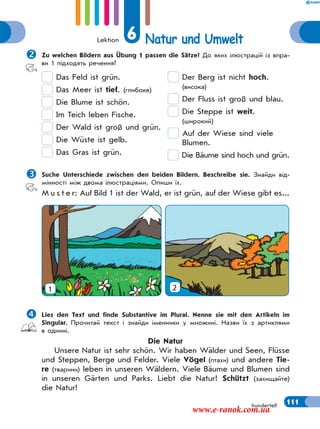 Lektion 6 Natur und Umwelt
111hundertelf
Zu welchen Bildern aus Übung 1 passen die Sätze? До яких ілюстрацій із впра-
ви 1 підходять речення?
Das Feld ist grün.
Das Meer ist tief. (глибоке)
Die Blume ist schön.
Im Teich leben Fische.
Der Wald ist groß und grün.
Die Wüste ist gelb.
Das Gras ist grün.
Der Berg ist nicht hoch.
(висока)
Der Fluss ist groß und blau.
Die Steppe ist weit.
(широкий)
Auf der Wiese sind viele
Blumen.
Die Bäume sind hoch und grün.
Suche Unterschiede zwischen den beiden Bildern. Beschreibe sie. Знайди від-
мінності між двома ілюстраціями. Опиши їх.
M u s t e r: Auf Bild 1 ist der Wald, er ist grün, auf der Wiese gibt es...
1 2
Lies den Text und finde Substantive im Plural. Nenne sie mit den Artikeln im
Singular. Прочитай текст і знайди іменники у множині. Назви їх з артиклями
в однині.
Die Natur
Unsere Natur ist sehr schön. Wir haben Wälder und Seen, Flüsse
und Steppen, Berge und Felder. Viele Vögel (птахи) und andere Tie-
re (тварини) leben in unseren Wäldern. Viele Bäume und Blumen sind
in unseren Gärten und Parks. Liebt die Natur! Schützt (захищайте)
die Natur!
www.e-ranok.com.ua
 