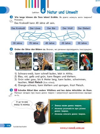 Lektion 6 Natur und Umwelt
116 hundertsechzehn
Wie lange können die Tiere leben? Erzähle. Як довго можуть жити тварини?
Розкажи.
Das Krokodil kann 40 Jahre alt sein.
Das Krokodil
50 Jahre
Der Wolf
20 Jahre
Der Bär
40 Jahre
Der Löwe
70 Jahre
Der Elefant
30 Jahre
Ordne die Sätze den Bildern zu. Визнач, які речення відповідають ілюстраціям.
1) Schwarz-weiß, kann schnell laufen, lebt in Afrika.
2) Blau, rot, gelb und grün, kann fliegen und klettern.
3) Grün oder grau, bis 6 Meter lang, kann laufen, schwimmen,
tauchen, frisst Fleisch (їсть м’ясо).
4) Orange-schwarz, kann klettern und springen, frisst Fleisch.
 Schreibe Rätsel über andere Wildtiere und lass deine Mitschüler sie lösen.
Напиши загадки про інших диких тварин і запропонуй однокласникам відгада-
ти їх.
А це ти вже
знаєш та можеш.  Знаєш назви диких тварин.
 Можеш розповісти про різних
диких тварин.
 Можеш описати диких тварин.
www.e-ranok.com.ua
 