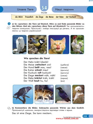 Stunde
123
54 Наші твариниUnsere Tiere
hundertdreiundzwanzig
 а) So «sprechen» die Tiere auf Deutsch. Höre zu und finde passende Bilder zu
den Sätzen. Und wie «sprechen» diese Tiere auf Ukrainisch? Так «розмовляють»
тварини німецькою. Прослухай і знайди ілюстрації до речень. А як «розмов-
ляють» ці тварини українською?
Wie sprechen die Tiere?
Der Hahn kräht kikeriki!
Die Meise zwitschert zwi! (щебече)
Der Hund bellt wau, wau! (гавкає)
Die Katze schreit miau! (кричить)
Der Kuckuck ruft kuckuck! (кричить)
Die Ziege meckert mäh, mäh! (мекає)
Der Rabe krächzt kräh, kräh! (каркає)
Der Wolf heult hu, hu! (виє)
b) Kommentiere die Bilder. Gebrauche passende Wörter aus dem Gedicht.
Прокоментуй малюнки, використовуючи відповідні слова з вірша.
Das ist eine Ziege. Sie kann meckern.
die Milch freundlich die Ziege die Meise der Rabe der Kuckuck
www.e-ranok.com.ua
 