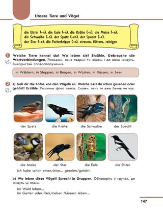 147
die Elster (-n), die Eule (-n), die KrЉhe (-n), die Meise (-n),
die Schwalbe (-n), der Spatz (-en), der Specht (-e),
der Star (-e), die Futterkrippe (-n), streuen, fЋttern, reinigen
	Welche Tiere kennst du? Wo leben sie? Erzähle. Gebrauche die
Wortverbindungen. Розкажи, яких тварин ти знаєш і де вони живуть.
Використай словосполучення.
in Wäldern, in Steppen, in Bergen, in Wüsten, in Flüssen, in Seen
	a) Sieh dir die Fotos von den Vögeln an. Welche hast du schon gesehen oder
gehört? Erzähle. Розглянь фото птахів. Скажи, яких ти вже бачив чи чув.
der Spatz die Krähe die Schwalbe der Specht
die Meise der Star die Eule die Elster
Ich habe schon einen/eine... geselen/gehört.
b) Wo leben diese Vögel? Sprecht in Gruppen. Обговоріть у групах, де
живуть ці птахи.
Im Wald leben...
Im Garten oder Park/neben Häusern leben...
Unsere Tiere und Vögel
 