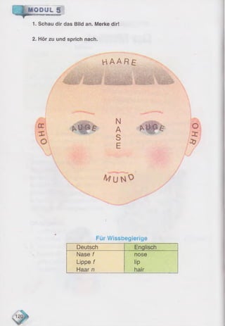 1. Schau dir das Bild an. Merke dir!
MODUL g j
2. Hör zu und sprich nach.
H A A R £
. . . . . .
N
A
S
E
Für Wissbegierige
Deutsch Englisch
Nase f nose
Lippe f lip
Haar n hair
 