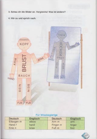 3. Schau dir die Bilder an. Vergleiche! Was ist anders?
4. Hör zu und sprich nach.
KOPF
0 -9 o q
Für Wissbegierige
Deutsch Englisch Deutsch Englisch
Ellbogen m
Hand f
Knie n
elbow
hand
knee
Arm m
Finger m
Fuß m
arm
finger
foot
 