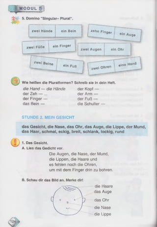 ' I
m
MODUL 5
5. Domino ’’Singular- Plural“ .
zwei Hände ein Bein * ehn Finger j ej
e 'n A u g e
-------—-------— '-—
zwei Füße ein Finger
zwei Augen j ein Ohr
........1.............imiy-). .
Wie heißen die Pluralformen? Schreib sie in dein Heft.
die Hand — die Hände der Kopf —
der Zeh — ... der Arm —
der Finger — der Fuß —
das Bein — die Schulter —
STUNDE 2. MEIN GESICHT
das Gesicht, die Nase, das Ohr, das Auge, die Lippe, der Mund,
das Haar, schmal, eckig, breit, schlank, lockig, rund
1. Das Gesicht.
A. Lies das Gedicht vor.
Die Augen, die Nase, der Mund,
die Lippen, die Haare und
es fehlen noch die Ohren,
um mit dem Finger drin zu bohren.
B. Schau dir das Bild an. Merke dir!
die Haare
das Auge
das Ohr
die Nase
die Lippe
 