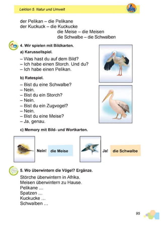 Lektion 5. Natur und Umwelt
der Pelikan - die Pelikane
der Kuckuck - die Kuckucke
die Meise - die Meisen
die Schwalbe - die Schwalben
4. Wir spielen mit Bildkarten,
a) Karussellspiel.
- Was hast du auf dem Bild?
- Ich habe einen Storch. Und du?
- Ich habe einen Pelikan.
b) Ratespiel.
- Bist du eine Schwalbe?
- Nein.
- Bist du ein Storch?
- Nein.
- Bist du ein Zugvogel?
- Nein.
- Bist du eine Meise?
- Ja, genau.
c) Memory mit Bild- und Wortkarten.
die Meise die Schwalbe
5. Wo überwintern die Vögel? Ergänze.
Störche überwintern in Afrika.
Meisen überwintern zu Hause.
Pelikane ...
Spatzen ...
Kuckucke ...
Schwalben ...
95
 