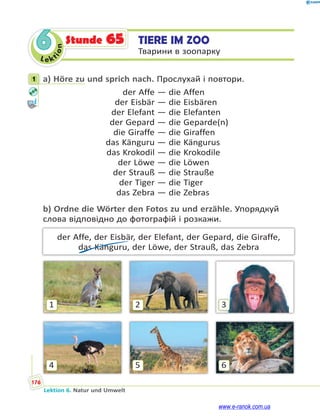 Le kt
i
o
n
176
Lektion 6. Natur und Umwelt
6 TIERE IM ZOO
Тварини в зоопарку
Stunde 65
1 a) Höre zu und sprich nach. Прослухай і повтори.
der Affe — die Affen
der Eisbär — die Eisbären
der Elefant — die Elefanten
der Gepard — die Geparde(n)
die Giraffe — die Giraffen
das Känguru — die Kängurus
das Krokodil — die Krokodile
der Löwe — die Löwen
der Strauß — die Strauße
der Tiger — die Tiger
das Zebra — die Zebras
b) Ordne die Wörter den Fotos zu und erzähle. Упорядкуй
слова відповідно до фотографій і розкажи.
der Affe, der Eisbär, der Elefant, der Gepard, die Giraffe,
das Känguru, der Löwe, der Strauß, das Zebra
3
6
2
5
1
4
1
www.e-ranok.com.ua
 