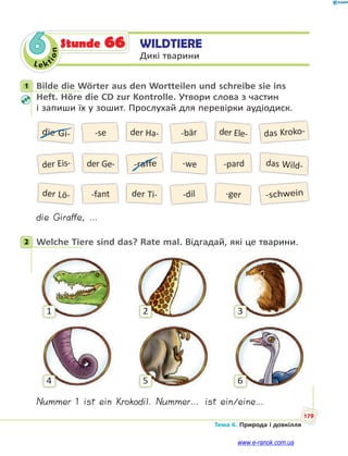 Le kt
i
o
n
179
Тема 6. Природа і довкілля
6 WILDTIERE
Дикі тварини
Stunde 66
1 Bilde die Wörter aus den Wortteilen und schreibe sie ins
Heft. Höre die CD zur Kontrolle. Утвори слова з частин
і запиши їх у зошит. Прослухай для перевірки аудіодиск.
die Gi-
der Lö-
der Eis-
-se
-fant
der Ge-
der Ha-
der Ti-
-raffe
-bär
-dil
das Kroko-
-schwein
-we das Wild-
der Ele-
-ger
-pard
die Giraffe, …
2 Welche Tiere sind das? Rate mal. Відгадай, які це тварини.
1
4
2
5
3
6
Nummer 1 ist ein Krokodil. Nummer… ist ein/eine…
1
2
www.e-ranok.com.ua
 