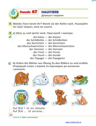 Le kt
i
o
n
182
Lektion 6. Natur und Umwelt
6 HAUSTIERE
Домашні тварини
Stunde 67
1 Welche Tiere kennt ihr? Nennt sie der Reihe nach. Називайте
по черзі тварин, яких ви знаєте.
2 a) Höre zu und sprich nach. Прослухай і повтори.
die Katze — die Katzen
die Schildkröte — die Schildkröten
das Kaninchen — die Kaninchen
das Meerschweinchen — die Meerschweinchen
der Hamster — die Hamster
der Fisch — die Fische
der Hund — die Hunde
der Papagei — die Papageien
b) Ordne die Wörter aus Übung 2a den Bildern zu und erzähle.
Упорядкуй слова з вправи 2а відповідно до малюнків
і розкажи.
1
5
2
6
3
7
4
8
Auf Bild 1 ist ein Hamster.
Auf Bild … ist ein/eine…
1
2
www.e-ranok.com.ua
 