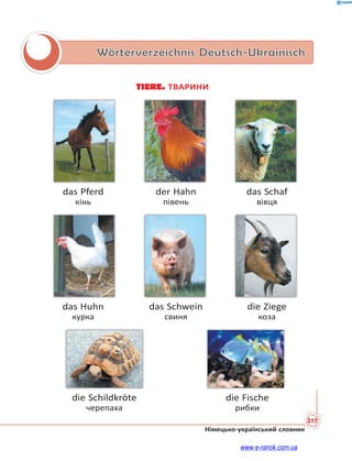 217
Німецько-український словник
Wörterverzeichnis Deutsch-Ukrainisch
TIERE. ТВАРИНИ
das Pferd der Hahn das Schaf
кінь півень вівця
das Huhn das Schwein die Ziege
курка свиня коза
die Schildkröte die Fische
черепаха рибки
www.e-ranok.com.ua
 