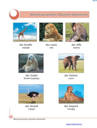 220
Wörterverzeichnis Deutsch-Ukrainisch
Wörterverzeichnis Deutsch-Ukrainisch
die Giraffe der Löwe der Affe
жираф лев мавпа
der Eisbär der Elefant
білий ведмідь слон
der Strauß der Gepard
страус гепард
www.e-ranok.com.ua
 