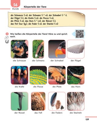 139
Stunde
56 Körperteile der Tiere
die Schnauze (-n), der Schwanz (-’’-e), der Schnabel (-’’-),
der FlЋgel (-), die Kralle (-n), die Flosse (-n),
die Pfote (-n), das Horn (-’’-er), der RЋssel (-),
das Fell (nur Sg.), die Feder (-n), der Stachel (-n)
 Wie heißen die Körperteile der Tiere? Höre zu und sprich
nach.
die Schnauze der Schwanz der Schnabel der Flügel
die Kralle die Flosse die Pfote das Horn
der Rüssel das Fell die Federn die Stacheln
 