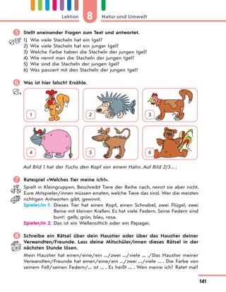 8 Natur und UmweltLektion
141
 Stellt aneinander Fragen zum Text und antwortet.
1) Wie viele Stacheln hat ein Igel?
2) Wie viele Stacheln hat ein junger Igel?
3) Welche Farbe haben die Stacheln der jungen Igel?
4) Wie nennt man die Stacheln der jungen Igel?
5) Wie sind die Stacheln der jungen Igel?
6) Was passiert mit den Stacheln der jungen Igel?
 Was ist hier falsch? Erzähle.
1 2 3
4 5 6
Auf Bild 1 hat der Fuchs den Kopf von einem Hahn. Auf Bild 2/3... .
 Ratespiel «Welches Tier meine ich?».
Spielt in Kleingruppen. Beschreibt Tiere der Reihe nach, nennt sie aber nicht.
Eure Mitspieler/innen müssen erraten, welche Tiere das sind. Wer die meisten
richtigen Antworten gibt, gewinnt.
Spieler/in 1: Dieses Tier hat einen Kopf, einen Schnabel, zwei Flügel, zwei
Beine mit kleinen Krallen. Es hat viele Federn. Seine Federn sind
bunt: gelb, grün, blau, rosa.
Spieler/in 2: Das ist ein Wellensittich oder ein Papagei.
 Schreibe ein Rätsel über dein Haustier oder über das Haustier deiner
Verwandten/Freunde. Lass deine Mitschüler/innen dieses Rätsel in der
nächsten Stunde lösen.
Mein Haustier hat einen/eine/ein .../zwei .../viele ... ./Das Haustier meiner
Verwandten/Freunde hat einen/eine/ein .../zwei .../viele ... . Die Farbe von
seinem Fell/seinen Federn/... ist ... . Es heißt ... . Wen meine ich? Ratet mal!
 