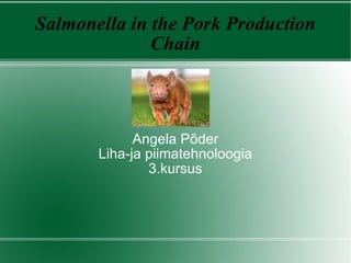 Salmonella in the Pork Production Chain Angela Põder Liha-ja piimatehnoloogia 3.kursus 