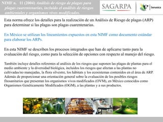 NIMF n. 11 (2004) Análisis de riesgo de plagas para
 plagas cuarentenarias, incluido el análisis de riesgos
 ambientales y organismos vivos modificados.
 Esta norma ofrece los detalles para la realización de un Análisis de Riesgo de plagas (ARP)
 para determinar si las plagas son plagas cuarentenarias.

 En México se utilizan los lineamientos expuestos en esta NIMF como documento estándar
 para elaborar los ARPs.

 En esta NIMF se describen los procesos integrados que han de aplicarse tanto para la
 evaluación del riesgo, como para la selección de opciones con respecto al manejo del riesgo.

 También incluye detalles referentes al análisis de los riesgos que suponen las plagas de plantas para el
 medio ambiente y la diversidad biológica, incluidos los riesgos que afectan a las plantas no
 cultivadas/no manejadas, la flora silvestre, los hábitats y los ecosistemas contenidos en el área de ARP.
 Además de proporcionar una orientación general sobre la evaluación de los posibles riesgos
 fitosanitarios que presentan los organismos vivos modificados (OVM), en México conocidos como
 Organismos Genéticamente Modificados (OGM), a las plantas y a sus productos.
 