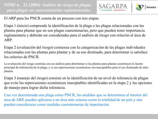 NIMF n. 21 (2004) Análisis de riesgo de plagas
 para plagas no cuarentenarias reglamentadas.
El ARP para las PNCR consta de un proceso con tres etapas.
Etapa 1 (inicio) comprende la identificación de la plaga o las plagas relacionadas con las
plantas para plantar que no son plagas cuarentenarias, pero que pueden tener importancia
reglamentaria y deberán ser consideradas para el análisis de riesgo con relación al área de
ARP.
Etapa 2 (evaluación del riesgo) comienza con la categorización de las plagas individuales
relacionadas con las plantas para plantar y de su uso destinado, para determinar si satisface
los criterios de PNCR.
La evaluación del riesgo continúa con un análisis para determinar si las plantas para plantar constituyen la fuente
principal de infestación de la plaga; y si sus repercusiones económicas son inaceptables para el uso destinado de tales
plantas.

Etapa 3 (manejo del riesgo) consiste en la identificación de un nivel de tolerancia de plagas
que evite las repercusiones económicas inaceptables identificadas en la etapa 2 y las opciones
de manejo para lograr dicha tolerancia.
Una vez determinada una plaga como PNCR, las medidas que se determinen al interior del
área de ARP, pueden aplicarse a un área más extensa como la totalidad de un país y aún
pueden considerarse como medidas cuarentenarias de importación.
 