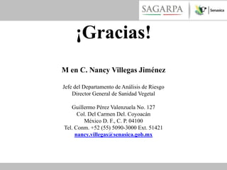 ¡Gracias!
M en C. Nancy Villegas Jiménez

Jefe del Departamento de Análisis de Riesgo
    Director General de Sanidad Vegetal

   Guillermo Pérez Valenzuela No. 127
      Col. Del Carmen Del. Coyoacán
         México D. F., C. P. 04100
Tel. Conm. +52 (55) 5090-3000 Ext. 51421
     nancy.villegas@senasica.gob.mx
 