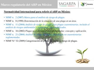 Marco regulatorio del ARP en México

  Normatividad Internacional para referir el ARP en México:

  • NIMF n. 2 (2007) Marco para el análisis de riesgo de plagas.
  • NIMF n. 8 (1998) Determinación de la situación de una plaga en un área.
  • NIMF n. 11 (2004) Análisis de riesgo de plagas para plagas cuarentenarias, incluido el
    análisis de riesgos ambientales y organismos vivos modificados.
  • NIMF n. 16 (2002) Plagas no cuarentenarias reglamentadas: concepto y aplicación.
  • NIMF n. 21 (2004) Análisis de riesgo de plagas para plagas no cuarentenarias
    reglamentadas.
  • NIMF N.º 32 (2009) Categorización de productos según su riesgo de plagas.
 