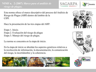 NIMF n. 2 (2007) Marco para el análisis de
 riesgo de plagas.

 Esta norma ofrece el marco descriptivo del proceso del Análisis de
 Riesgo de Plagas (ARP) dentro del ámbito de la
 CIPF.

 Hace la presentación de las tres etapas del ARP:

 Etapa 1. Inicio.
 Etapa 2. Evaluación del riesgo de plagas
 Etapa 3. Manejo del riesgo de plagas.

 La norma se concentra en la etapa de inicio.

 En la etapa de inicio se abordan los aspectos genéricos relativos a
 la recolección de información, la documentación, la comunicación
 del riesgo, la incertidumbre y la coherencia.
 
