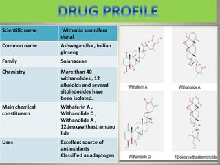 Scientific name Withania somnifera
dunal
Common name Ashwagandha , Indian
ginseng
Family Solanaceae
Chemistry More than 40
withanolides , 12
alkaloids and several
sitoindosides have
been isolated.
Main chemical
constituents
Withaferin A ,
Withanolide D ,
Withanolide A ,
12deoxywithastramono
lide
Uses Excellent source of
antioxidants
Classified as adaptogen
 