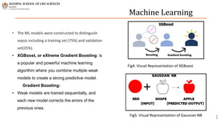Machine Learning Models Used to Diagnose Sepsis.pptx