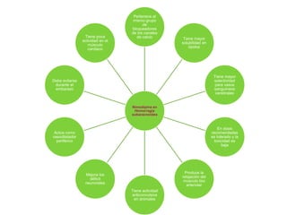 Pertenece al 
mismo grupo 
de 
bloqueadores 
de los canales 
de calcio Tiene mayor 
Nimodipina en 
Hemorragia 
subaracnoidea 
solubilidad en 
lípidos 
Tiene mayor 
selectividad 
para vasos 
sanguíneos 
cerebrales 
En dosis 
recomendadas 
es tolerado y la 
toxicidad es 
baja 
Produce la 
relajación del 
músculo liso 
arteriolar 
Tiene actividad 
anticonvulsiva 
en animales 
Mejora los 
déficit 
neuronales 
Debe evitarse 
durante el 
embarazo 
Actúa como 
vasodilatador 
periférico 
Tiene poca 
actividad en el 
músculo 
cardiaco 
