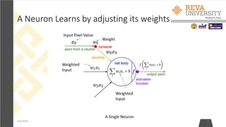 A Neuron Learns by adjusting its weights
4/6/2020 8
 