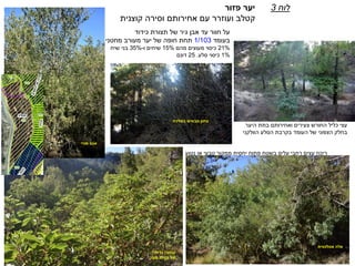 ‫תצורת‬ ‫של‬ ‫גיר‬ ‫אבן‬ ‫עד‬ ‫חוור‬ ‫על‬‫כידוד‬
‫בעומד‬1/103‫מחטני‬ ‫מעורב‬ ‫יער‬ ‫של‬ ‫חופה‬ ‫תחת‬
21%‫מהם‬ ‫מעוצים‬ ‫כיסוי‬15%‫ו‬ ‫שיחים‬-35%‫שיח‬ ‫בני‬
1%‫סלע‬ ‫כיסוי‬.25‫דונם‬
‫לוח‬3‫פזור‬ ‫יער‬
‫עם‬ ‫ועוזרר‬ ‫קטלב‬‫אחירותם‬‫קוצנית‬ ‫וסירה‬
‫צעירים‬ ‫החורש‬ ‫כליל‬ ‫עצי‬‫ואחירותם‬‫היער‬ ‫בתת‬
‫הוולקני‬ ‫הסלע‬ ‫בקרבת‬ ‫העומד‬ ‫של‬ ‫הצפוני‬ ‫בחלק‬
‫צחנן‬‫בשלכת‬ ‫מבאיש‬
‫סורי‬ ‫אגס‬
‫אטלנטית‬ ‫אלה‬
‫גדולה‬ ‫קבוצה‬
‫מצוי‬ ‫קטלב‬ ‫של‬
‫נטוע‬ ‫או‬ ‫טבעי‬ ‫ממקור‬ ‫יחסית‬ ‫פתוח‬ ‫בשטח‬ ‫עלים‬ ‫רחבי‬ ‫עצים‬ ‫ריכוז‬
 