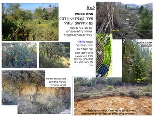 ‫חוור‬ ‫עד‬ ‫גיר‬ ‫אבן‬ ‫על‬
‫ומעברים‬ ‫בזלת‬ ‫ומחדר‬
‫גירנייים‬-‫חווריים‬-‫וולקניים‬
‫לוח‬5
‫צפופה‬ ‫בתה‬
‫דביק‬ ‫וטיון‬ ‫קוצנית‬ ‫סירה‬
‫עם‬‫אחירותם‬‫ועוזרר‬
‫בעומד‬1/105
‫של‬ ‫חופה‬ ‫תחת‬
‫עצי‬ ‫מעורב‬ ‫יער‬
‫מחט‬-‫עלים‬ ‫רחבי‬
75%‫מעוצים‬ ‫כיסוי‬
‫מהם‬70%‫שיח‬ ‫בני‬
1%‫סלע‬ ‫כיסוי‬.8.5
‫דונם‬
‫קוצנית‬ ‫סירה‬
‫דביק‬ ‫טיון‬
‫עוזרר‬
‫נטוע‬ ‫ארז‬
‫מצוי‬ ‫קנה‬
‫מצוי‬ ‫קנה‬
‫נביעה‬
‫הכלב‬ ‫ורד‬
‫וחדירת‬ ‫קוצנית‬ ‫סירה‬
‫הרדודים‬ ‫שורשיה‬
‫לקרקע‬‫החוורית‬.
‫מחדר‬(‫דייק‬)‫עונתית‬ ‫נביעה‬ ‫קיימת‬ ‫ומעליו‬ ‫וולקני‬
‫נוספים‬ ‫לחים‬ ‫ומינים‬ ‫מצוי‬ ‫קנה‬ ‫גדלים‬ ‫ועליה‬ ‫משטחית‬
‫הנביעה‬ ‫סביבת‬
‫המחדר‬ ‫על‬
 