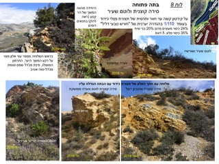 ‫יולי‬2018
‫יולי‬2018 ‫ינואר‬2019
‫ינואר‬2019
‫פתוחה‬ ‫בתה‬
‫שעיר‬ ‫ולוטם‬ ‫קוצנית‬ ‫סירה‬
‫על‬‫קירטון‬‫פצלי‬ ‫תצורת‬ ‫של‬ ‫וחרסית‬ ‫חוור‬ ‫עד‬ ‫קשה‬‫כידוד‬
‫בעומד‬1/110‫של‬ ‫יערנית‬ ‫בהגדרה‬"‫דליל‬ ‫טבעי‬ ‫חורש‬"
24%‫מהם‬ ‫מעוצים‬ ‫כיסוי‬20%‫שיח‬ ‫בני‬
35%‫סלע‬ ‫כיסוי‬.5‫דונם‬
‫לוח‬8
‫קירטון‬‫קשה‬
‫חוור‬
‫יולי‬2018
‫ינואר‬2019
‫ינואר‬2019
‫מפושקת‬ ‫וגעדה‬ ‫לוטם‬ ‫קוצנית‬ ‫סירה‬ ‫דגול‬ ‫ואזוביון‬ ‫קוצנית‬ ‫סירה‬
‫לוטם‬,‫לוטמית‬‫וזריעי‬‫אורנים‬
‫מפושקת‬ ‫געדה‬
‫ושורשיו‬ ‫שעיר‬ ‫לוטם‬
‫תצורת‬ ‫של‬ ‫הסלע‬ ‫חתך‬ ‫עם‬ ‫שלוחה‬‫כידוד‬‫עליו‬ ‫הגדלה‬ ‫הבתה‬ ‫עם‬
‫מצוי‬ ‫אלון‬ ‫עצי‬ ‫מספר‬ ‫השלוחה‬ ‫בראש‬
‫היער‬ ‫המשך‬ ‫רקע‬ ‫על‬,‫החרמון‬
‫המושלג‬,‫פינת‬‫מג‬'‫דל‬‫וצומת‬ ‫שמס‬
‫מג‬'‫דל‬-‫אטיב‬ ‫נווה‬
‫מהווה‬ ‫היחידה‬
‫הר‬ ‫של‬ ‫המשך‬
‫קטע‬(‫ראה‬
‫להלן‬)‫בתנאים‬
‫דומים‬
 