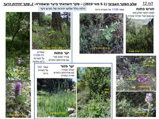 ‫האביבי‬ ‫הסקר‬ ‫שלב‬(1-5‫מאי‬2019)–‫ביער‬ ‫השוואתי‬ ‫סקר‬‫ובשמורה‬:I.‫היער‬ ‫יחידות‬ ‫סקר‬
‫שעורת‬‫הבולבוסין‬
‫שעירה‬ ‫קידה‬
‫אנטולי‬ ‫סחלב‬
‫לוטם‬‫מרווני‬
‫לחך‬‫איזמלני‬
‫קטלב‬
‫מצוי‬
‫איטלקי‬ ‫סחלב‬
‫זריע‬‫מצוי‬ ‫וטופח‬ ‫התולע‬ ‫אלון‬
‫לוח‬12
‫עלים‬ ‫רחב‬ ‫חורש‬ ‫בן‬
‫שעירה‬ ‫קידה‬
‫השיניים‬ ‫שלוש‬ ‫סחלב‬
‫פתוח‬ ‫חורש‬
‫מצוי‬ ‫ואלון‬ ‫רפואי‬ ‫לבנה‬
‫שעירה‬ ‫וקידה‬ ‫סורי‬ ‫אגס‬ ‫עם‬
‫עומד‬1/106‫תצורת‬ ‫על‬‫כידוד‬
‫פתוח‬ ‫יער‬
‫סורי‬ ‫ואגס‬ ‫עוזרר‬
‫עם‬‫אחירותם‬‫החורש‬
‫עומדים‬
1/109-10
‫תצורות‬ ‫על‬
‫ב‬"‫וחלוצה‬ ‫ש‬
‫פזור‬ ‫יער‬
‫ועוזרר‬ ‫קטלב‬
‫עם‬‫אחירותם‬‫החורש‬
‫קוצנית‬ ‫וסירה‬
‫עומד‬103
‫תצורת‬ ‫על‬
‫כידוד‬
‫השיניים‬ ‫שלוש‬ ‫סחלב‬
‫ויער‬ ‫חורש‬ ‫של‬ ‫יחידות‬ ‫שלוש‬ ‫כולל‬ ‫הלוח‬
 