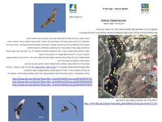 72791D3Fid%3Fsub.jsp%2Fheb%2http://www.kkl.org.il/birds/?bbis=bbis_test%
63332D3Fid%3Fsub.jsp%2Fheb%2http://www.kkl.org.il/birds/?bbis=bbis_test%
74872D3Fid%3Fsub.jsp%2Fheb%2http://www.kkl.org.il/birds/?bbis=bbis_test%
‫עיטי‬ ‫עקב‬
‫חוויאי‬
 
