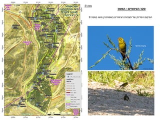 ‫מפה‬9:
‫אירופי‬ ‫בזבוז‬
‫הציפורים‬ ‫סקר‬-‫המשך‬
‫במפה‬ ‫מוצג‬ ‫בשמותיהן‬ ‫הציפורים‬ ‫תצפיות‬ ‫של‬ ‫המדויק‬ ‫המיקום‬9
 