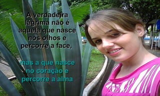 A verdadeira lágrima não é aquela que nasce nos olhos e percorre a face,  mas a que nasce no coração e percorre a alma 