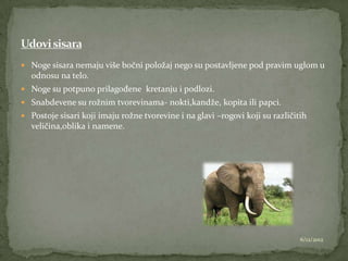  Noge sisara nemaju više bočni položaj nego su postavljene pod pravim uglom u
  odnosu na telo.
 Noge su potpuno prilagođene kretanju i podlozi.
 Snabdevene su rožnim tvorevinama- nokti,kandže, kopita ili papci.
 Postoje sisari koji imaju rožne tvorevine i na glavi –rogovi koji su različitih
  veličina,oblika i namene.




                                                                               6/12/2012
 