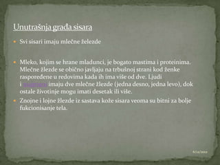  Svi sisari imaju mlečne železde


 Mleko, kojim se hrane mladunci, je bogato mastima i proteinima.
  Mlečne žlezde se obično javljaju na trbušnoj strani kod ženke
  raspoređene u redovima kada ih ima više od dve. Ljudi
  i majmuni imaju dve mlečne žlezde (jedna desno, jedna levo), dok
  ostale životinje mogu imati desetak ili više.
 Znojne i lojne žlezde iz sastava kože sisara veoma su bitni za bolje
  fukcionisanje tela.




                                                                     6/12/2012
 