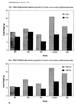 effect light and dark in tissue culture